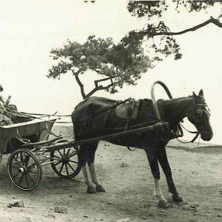Orhan Kutbayin Evi Adalar Bagian luar foto
