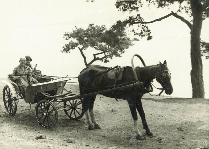 Orhan Kutbayin Evi Adalar Bagian luar foto